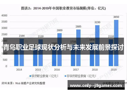 青岛职业足球现状分析与未来发展前景探讨 青岛职业足球现状分析与未来发展前景探讨